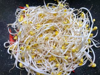 5、豆芽炒韭菜,倒入豆芽翻炒至软。