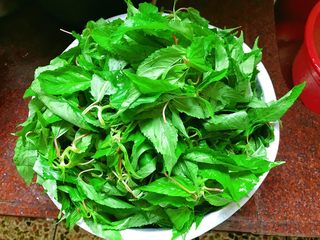 1、潮汕+炒麻叶,麻叶洗净备着。