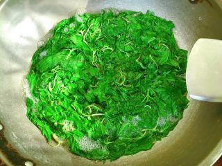 4、潮汕+炒麻叶,煮开。拌匀，麻叶变皱就可捞起。