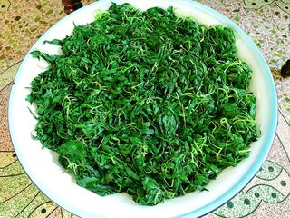 6、潮汕+炒麻叶,依次做好所有的麻叶，放在大盘中，用风扇吹一下，使水分更干。吹凉以后可以分成几份放入冰箱，需要炒就拿一份出来。