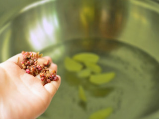 5、盐水虾,再放入花椒