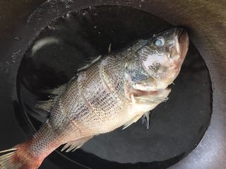 7、清蒸鲈鱼,鱼放入沸水中迅速过一下，去除腥味