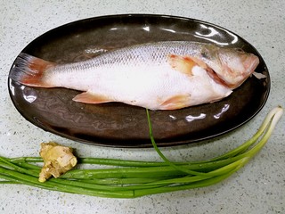 1、粤式清蒸鲈鱼,准备好材料。