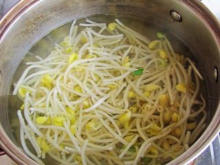 3、正宗毛血旺,放入洗干净的黄豆芽，焯两分钟。