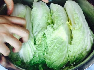 3、韩式辣白菜(辣酱调制),腌制4-6个小时以上,最佳时间可过夜!白菜梗一定要变软才行哦!