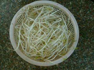 3、麻辣水煮鱼,洗好豆芽，沥干