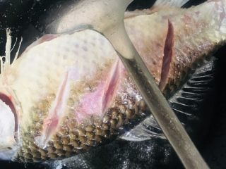 5、红烧鲫鱼,待油温升高到六成热时放入洗净的鲫煎至两面金黄