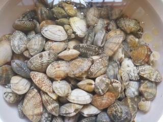 2、吃了不怕长胖的美食___酱爆花蛤,清水中加盐