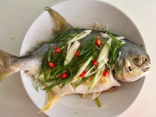 13、清蒸鱼,放上葱丝，喜欢辣的可以切点干辣椒丝（我坦白：我切了一点小红椒只是为了点缀，哈哈）