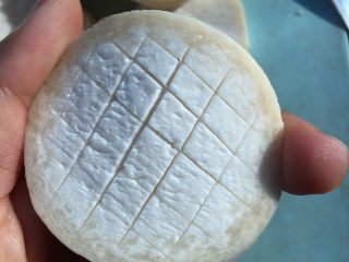 4、蚝油杏鲍菇,另一面也同样划,就是别划断了