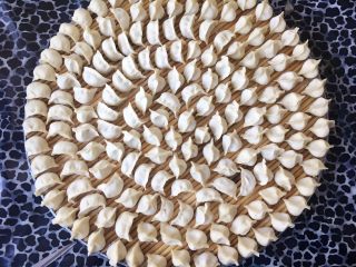 17、胡萝卜大葱猪肉饺子,包好的饺子;