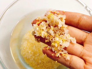 1、菠菜猪肝粥,首先将两米洗干净。