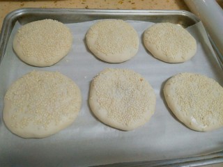 16、紫菜光饼，也叫福州肉烧,全部粘好芝麻，烤箱提前180℃预热10分钟，再把饼放进烤箱180℃烤20分钟