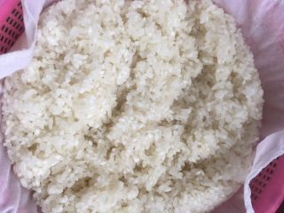 9、糯米烧卖,这是蒸好的糯米，接下来就开始准备炒馅啦