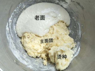 7、超软拉丝北海道土司（2个）,加入准备好的两个酵种然后盘它！