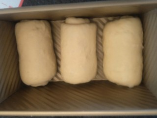 17、超软拉丝北海道土司（2个）,放入土司盒底部朝下。