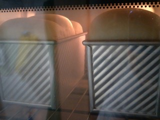 20、超软拉丝北海道土司（2个）,烤箱上火140°，下火220°，烤半个小时。