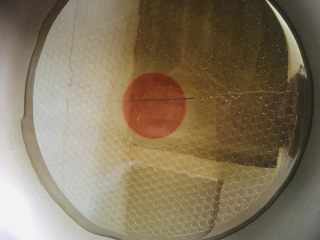 23、土豆饼,平底锅烧热放油