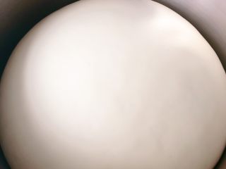 17、鲜肉包子,醒发到两倍大