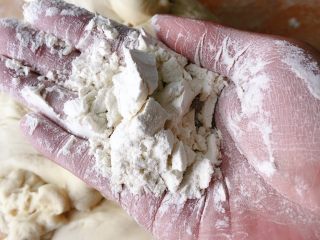 18、鲜肉包子,拿出来加一点干面粉排气