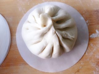 22、鲜肉包子,包成你想要的包子的样子