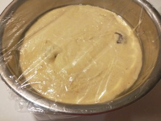 15、小米发糕,封上保鲜膜发酵。