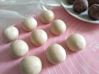 6、酥掉渣的蛋黄酥，月饼季做起来,全部制作完毕后，静置15分钟。