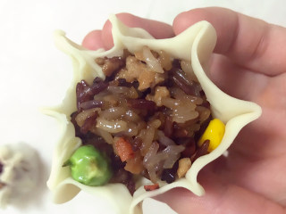 11、超级好吃的饺子皮烧麦,捏出花边，用虎口，把皮全部包上，在花边下方，用虎口收紧捏一下，依次做好剩余烧麦。