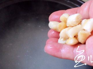 8、鲜虾干贝粥,放入干贝,中火煮开转小火慢煮,中间用勺子经常搅动,以免糊锅底