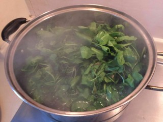 5、鸡汁荠菜百叶包✨,把荠菜全部投入沸水中，马上关掉火。在沸水里烫一烫。