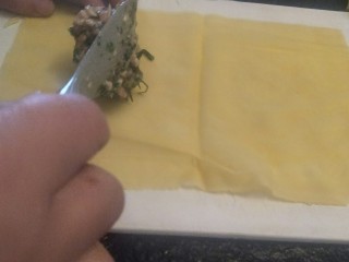 16、鸡汁荠菜百叶包✨,一张皮子放入适量的馅料。