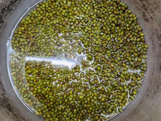 3、清爽绿豆粥,洗好的绿豆倒入锅里。