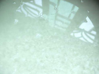 6、红枣南瓜粥,大米淘洗干净后最好提前浸泡一会。