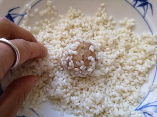 11、团团圆圆——珍珠圆子,再放入提前泡好的糯米中滚上一圈。