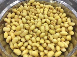 2、营养早餐 肉末雪菜玉米面粥,泡发好的黄豆。