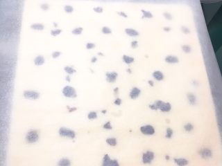 20、蔓越梅蛋糕卷,再用一张干净的烤盘纸覆盖。