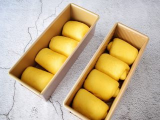 14、南瓜吐司,放入吐司模具里盖上保鲜膜进行二发