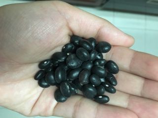 2、补肾粥,黑豆