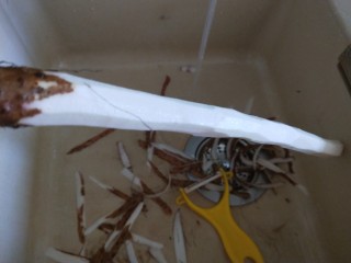 7、山药枸杞粥,山药去皮洗干净。