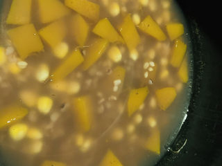 14、玉米南瓜粥,电饭煲预约煮粥时间，第二天早上起来，打开电饭煲就有粥喝啦