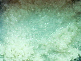 2、生滚牛肉粥,淘洗干净