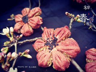13、桃花酥,非常漂亮的桃花