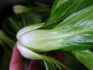 1、绿玫瑰花,瓢儿白清洗干净、尤其是根根部比较容易积累脏的东西进去，慢慢瓣开清洗后，用淡盐水浸泡十分钟左右，捞出。