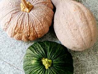 1、南瓜包子(小葱鲜肉馅),朋友送了老南瓜,嫩南瓜