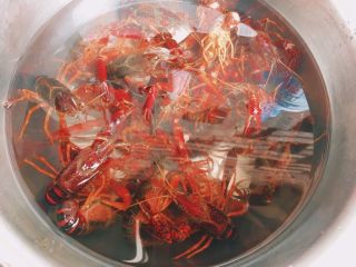 1、川味儿麻辣小龙虾,小龙虾用水泡一会儿 用刷子刷干净腹部并去掉虾肠 