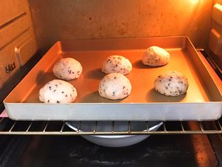12、松软芝麻包,送入烤箱发酵60分钟，底部放一碗热水助温。