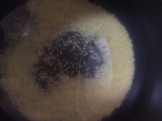 3、鸡蛋小米粥,倒入电饭煲