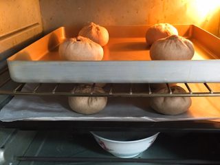 21、奶油黑麦奶酪包,送入烤箱两次发酵，方法同上也是60分钟。