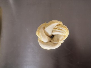 13、椰蓉吐司,将两头收起，接口捏紧，依次做好所有面团。