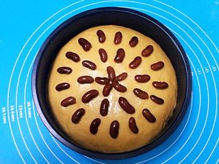 15、奶香红糖大馒头,把面团上面放入熟芸豆